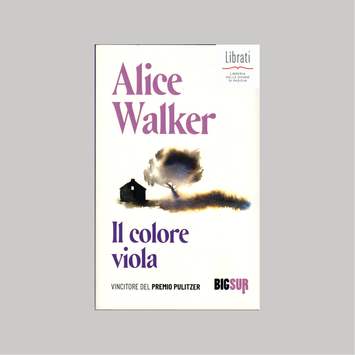 Il colore viola di Alice Walker (Sur)